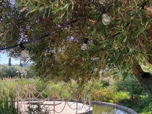 Κυκλική ξύλινη πλατφόρμα με σχοινιά και διακοσμητικά φώτα πάνω από λίμνη